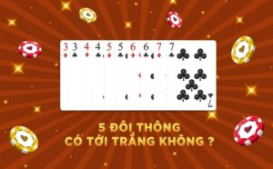 Giải đáp 5 đôi thông có tới trắng không?