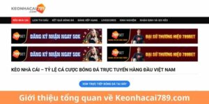 xem lịch bóng đá kèo nhà cái